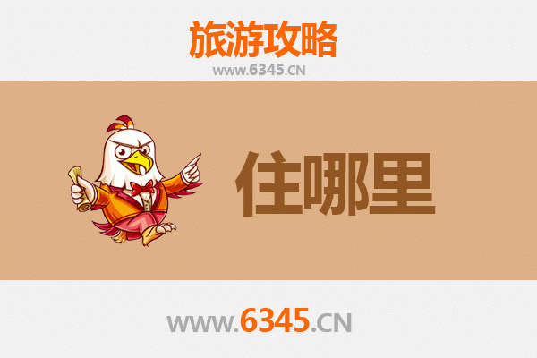 石家庄赵县旅游民宿全攻略：古韵梨花深处的诗意栖居